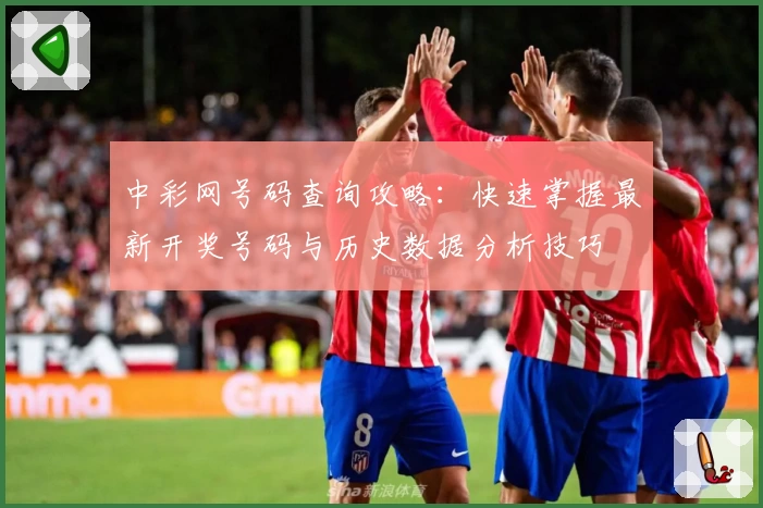 中彩网号码查询攻略：快速掌握最新开奖号码与历史数据分析技巧