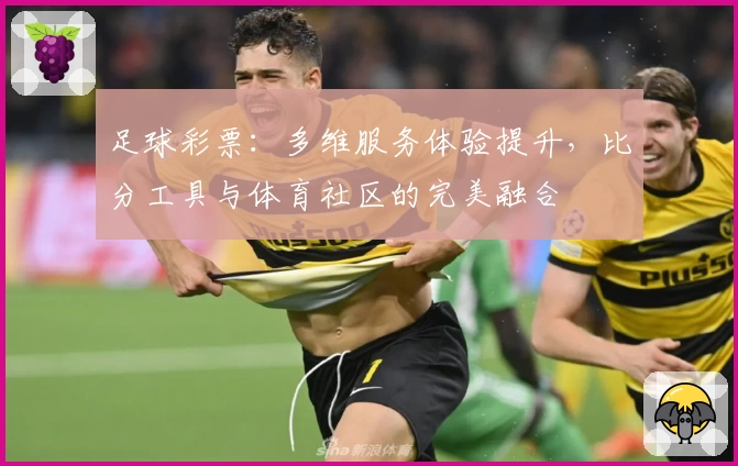 足球彩票:多维服务体验提升,比分工具与体育社区的完美融合