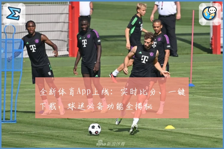 全新体育App上线:实时比分、一键下载,球迷必备功能全揭秘